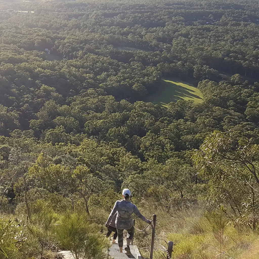 noosa walking trail